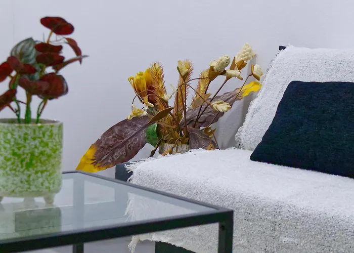 Spacious Flat With Garden * Lisboa